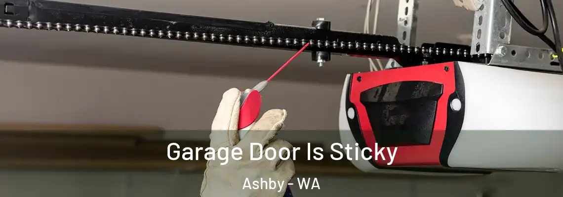 Garage Door Is Sticky Ashby - WA