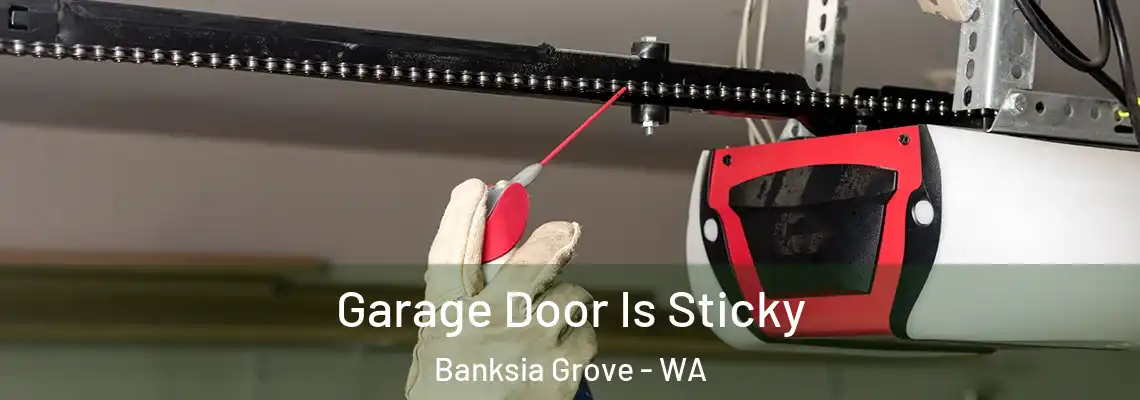 Garage Door Is Sticky Banksia Grove - WA