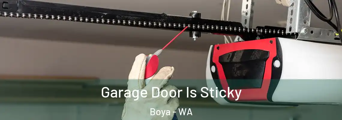 Garage Door Is Sticky Boya - WA