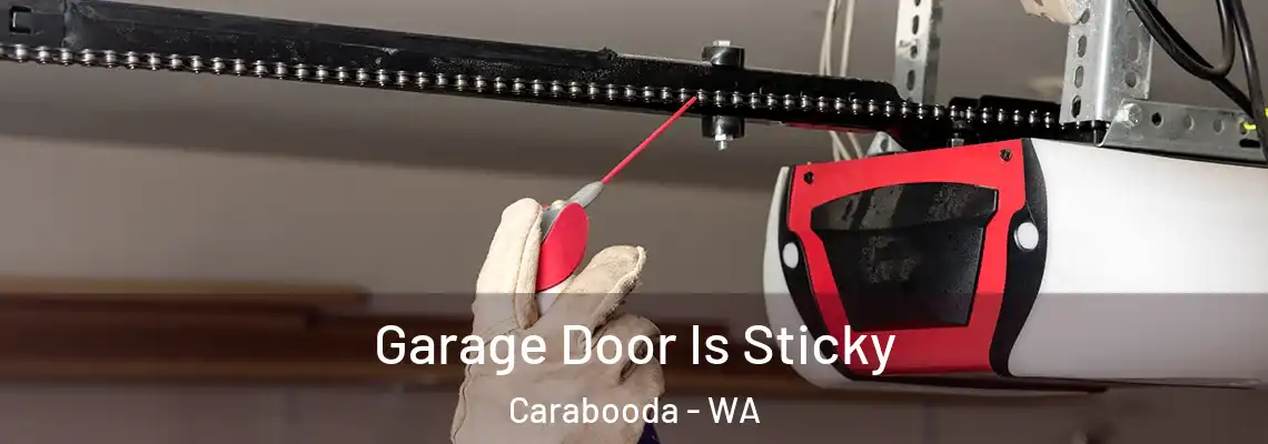 Garage Door Is Sticky Carabooda - WA
