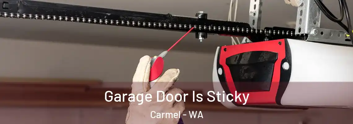 Garage Door Is Sticky Carmel - WA