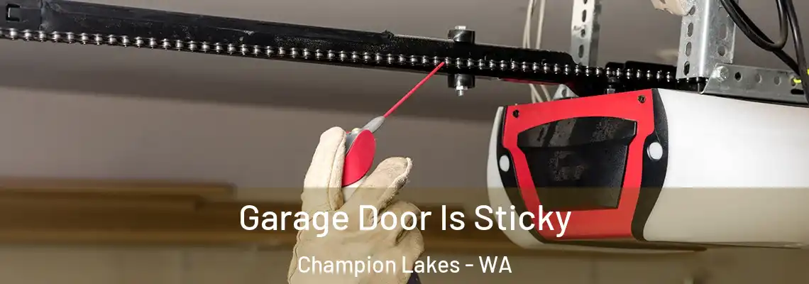 Garage Door Is Sticky Champion Lakes - WA