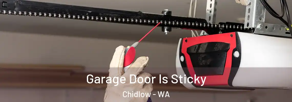 Garage Door Is Sticky Chidlow - WA