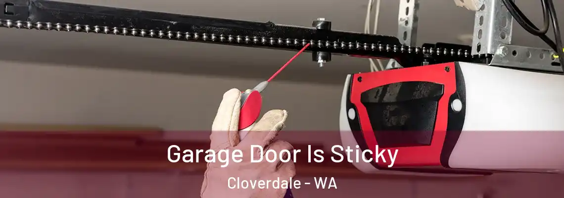 Garage Door Is Sticky Cloverdale - WA