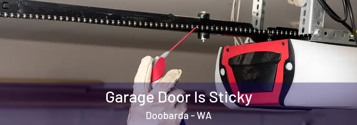 Garage Door Is Sticky Doobarda - WA