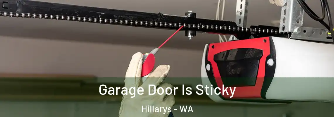 Garage Door Is Sticky Hillarys - WA