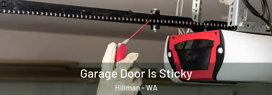 Garage Door Is Sticky Hillman - WA
