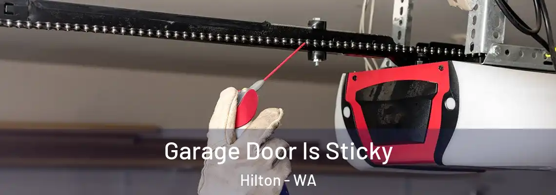  Garage Door Is Sticky Hilton - WA