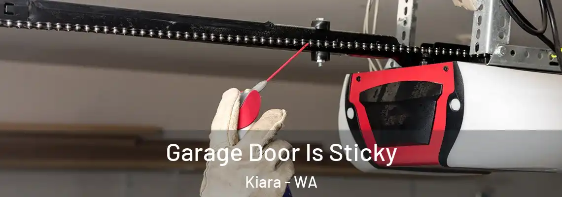 Garage Door Is Sticky Kiara - WA
