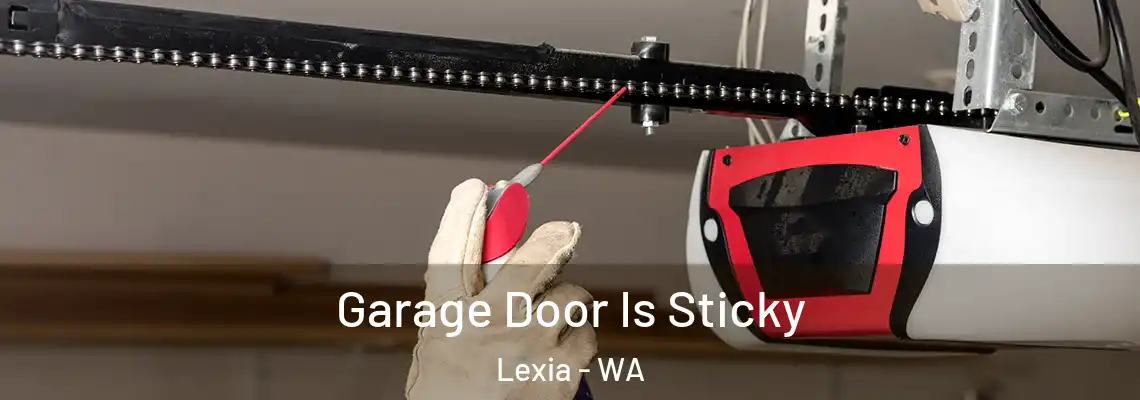 Garage Door Is Sticky Lexia - WA
