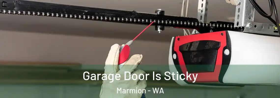 Garage Door Is Sticky Marmion - WA