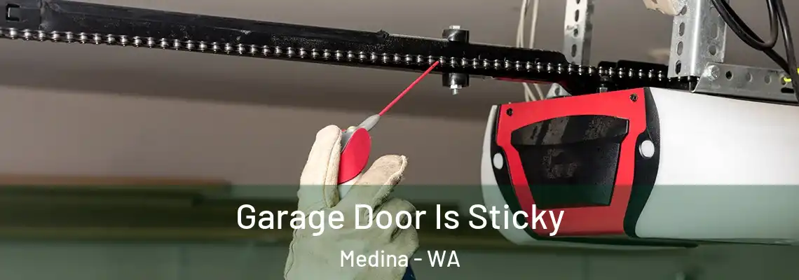 Garage Door Is Sticky Medina - WA