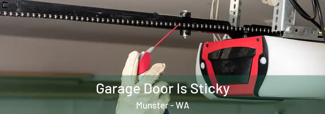 Garage Door Is Sticky Munster - WA