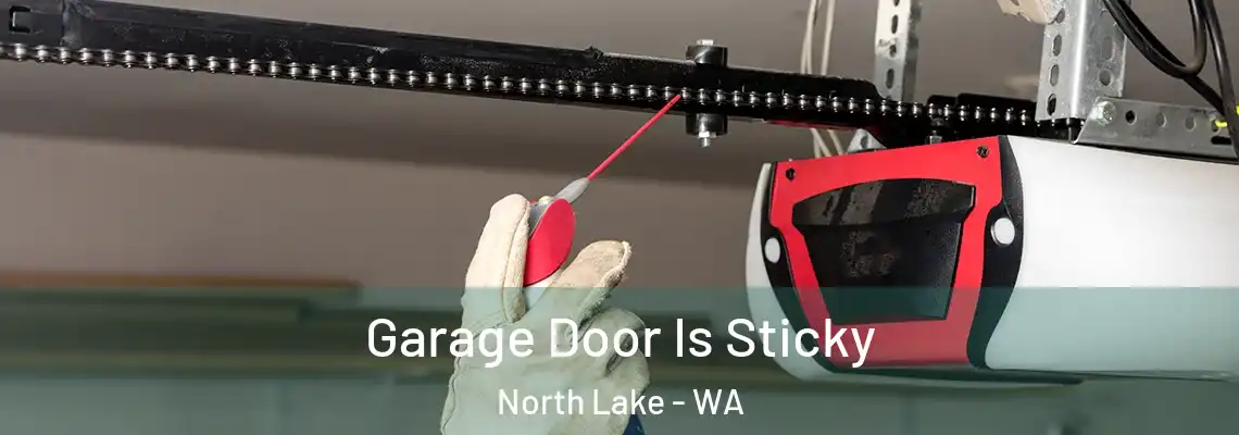  Garage Door Is Sticky North Lake - WA