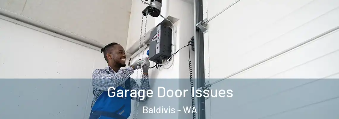 Garage Door Issues Baldivis - WA