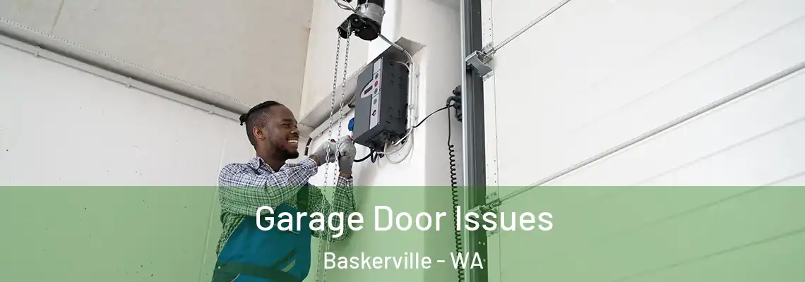 Garage Door Issues Baskerville - WA