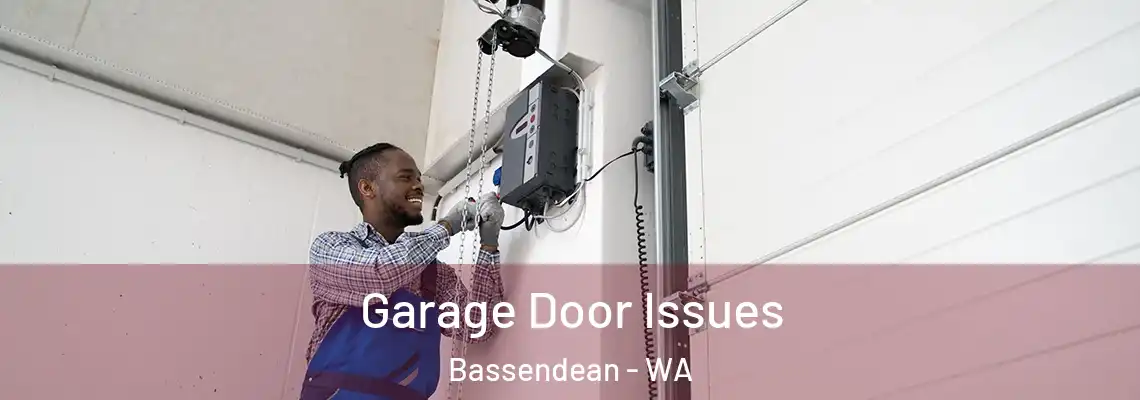 Garage Door Issues Bassendean - WA