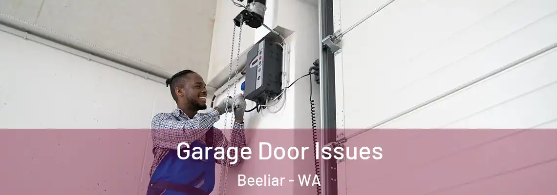 Garage Door Issues Beeliar - WA