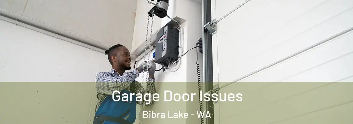 Garage Door Issues Bibra Lake - WA