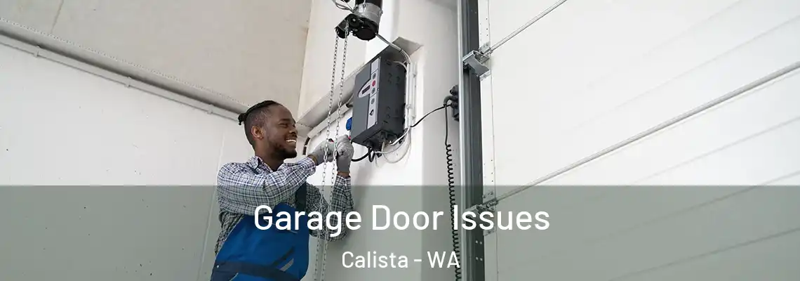 Garage Door Issues Calista - WA