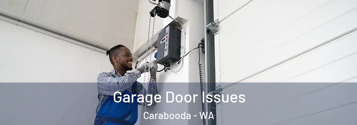 Garage Door Issues Carabooda - WA