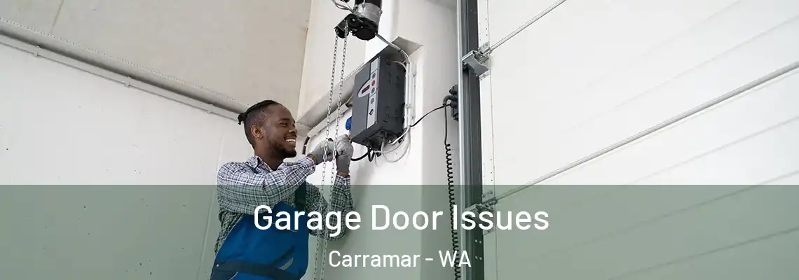 Garage Door Issues Carramar - WA