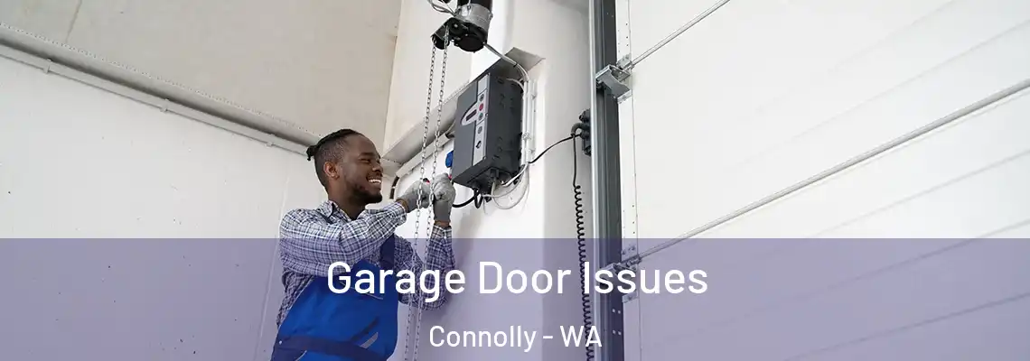 Garage Door Issues Connolly - WA