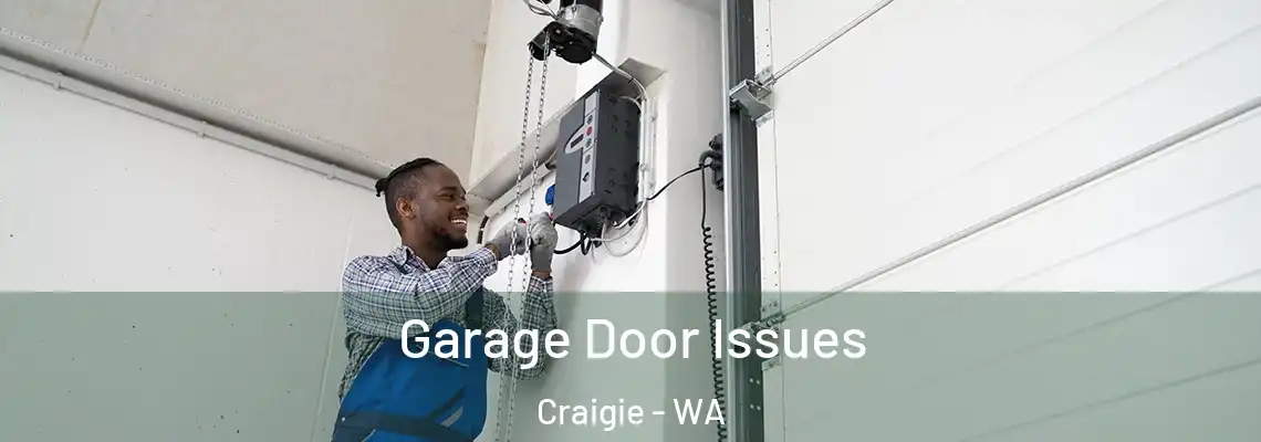 Garage Door Issues Craigie - WA