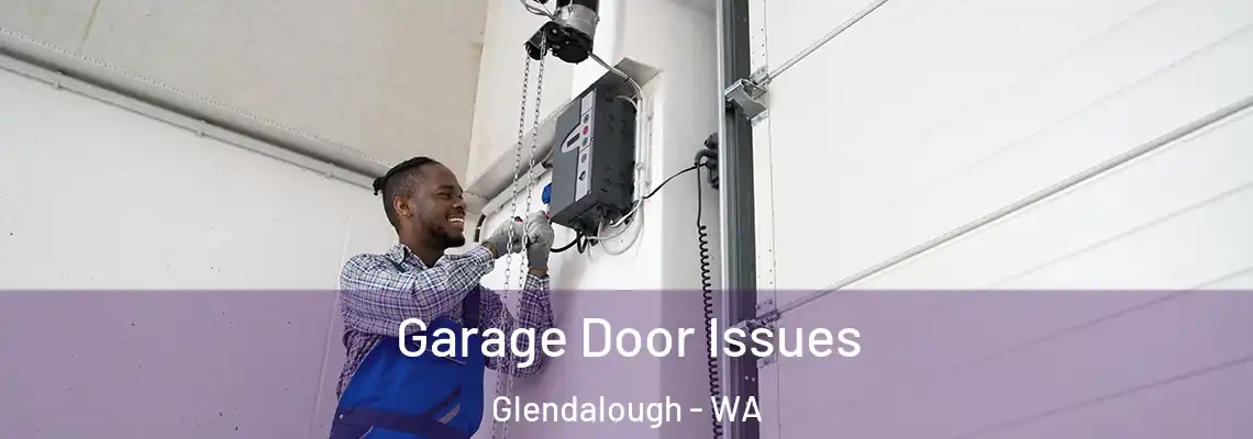 Garage Door Issues Glendalough - WA
