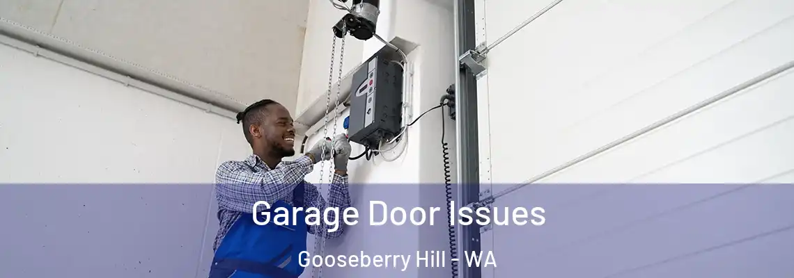 Garage Door Issues Gooseberry Hill - WA