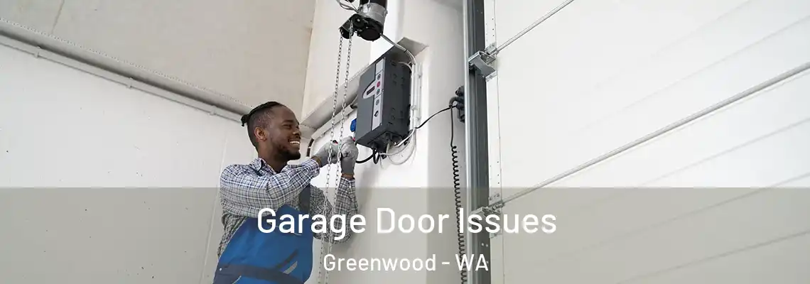 Garage Door Issues Greenwood - WA