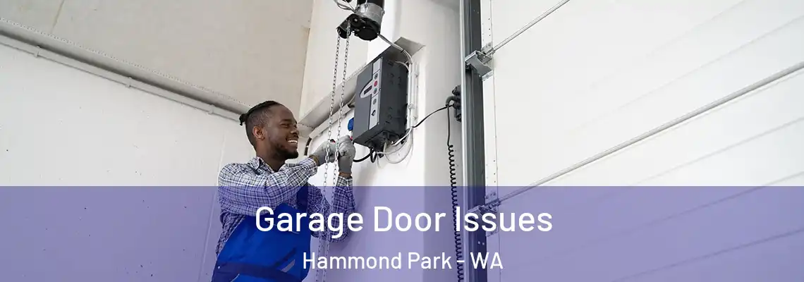 Garage Door Issues Hammond Park - WA