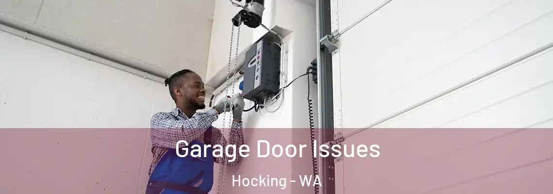  Garage Door Issues Hocking - WA