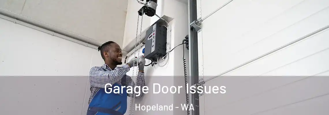 Garage Door Issues Hopeland - WA