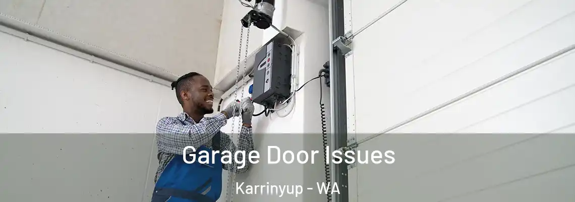 Garage Door Issues Karrinyup - WA