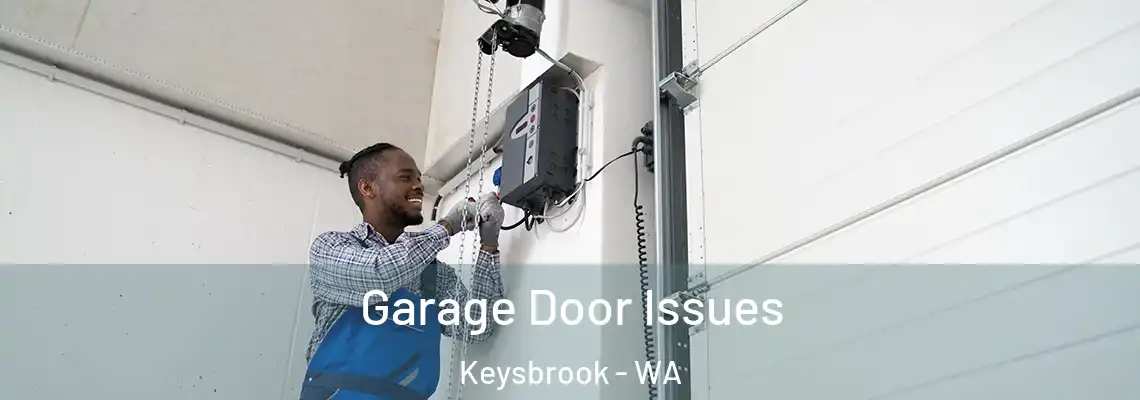 Garage Door Issues Keysbrook - WA