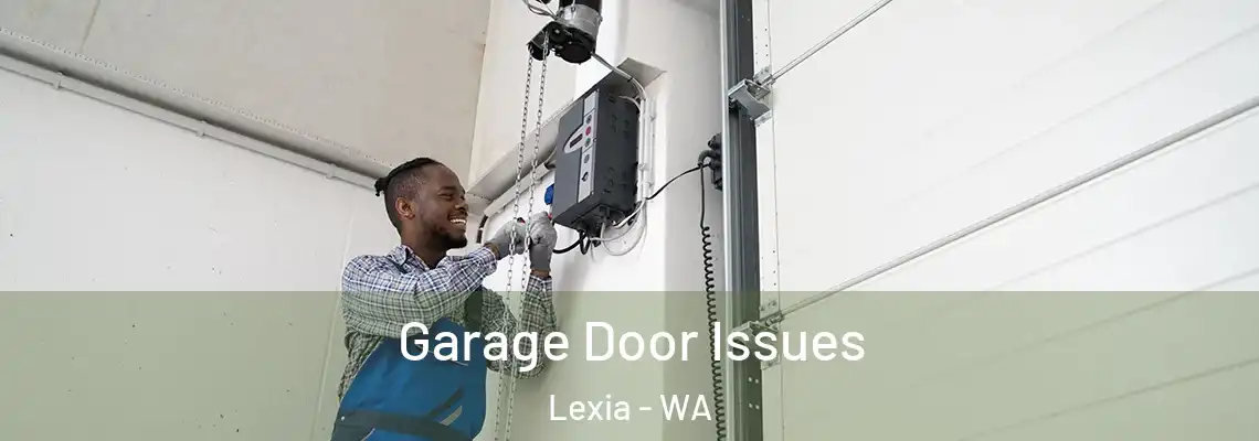 Garage Door Issues Lexia - WA