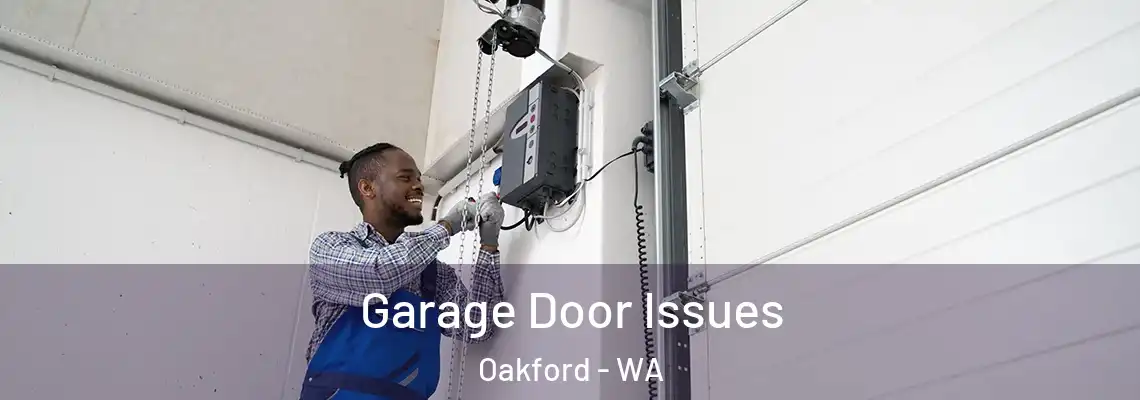 Garage Door Issues Oakford - WA
