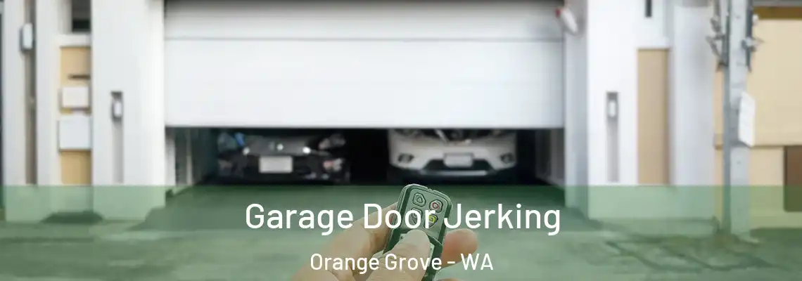 Garage Door Jerking Orange Grove - WA