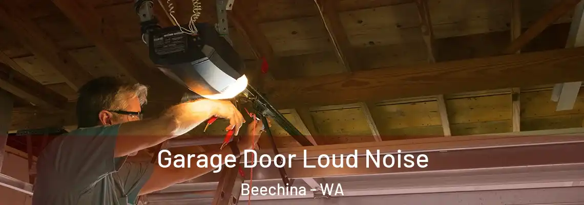 Garage Door Loud Noise Beechina - WA