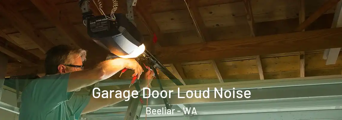 Garage Door Loud Noise Beeliar - WA