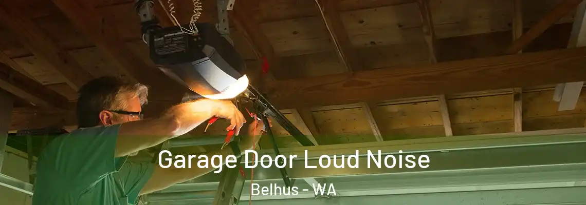 Garage Door Loud Noise Belhus - WA