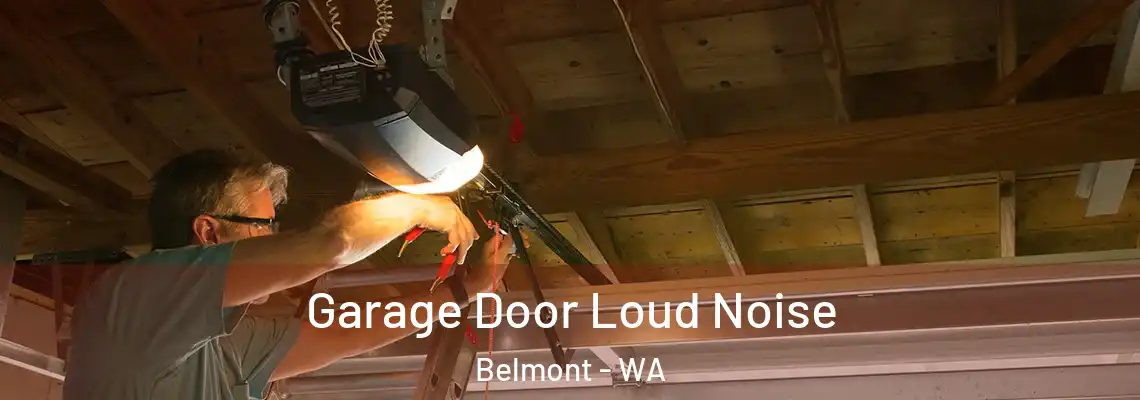 Garage Door Loud Noise Belmont - WA