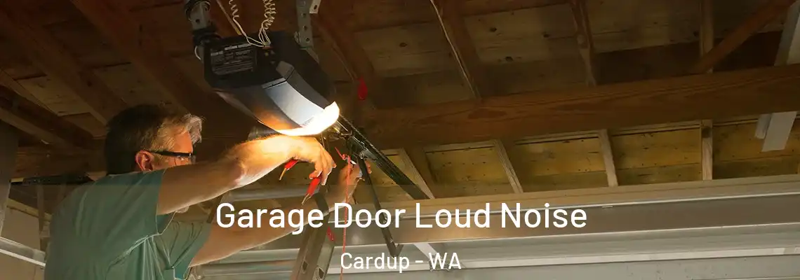Garage Door Loud Noise Cardup - WA