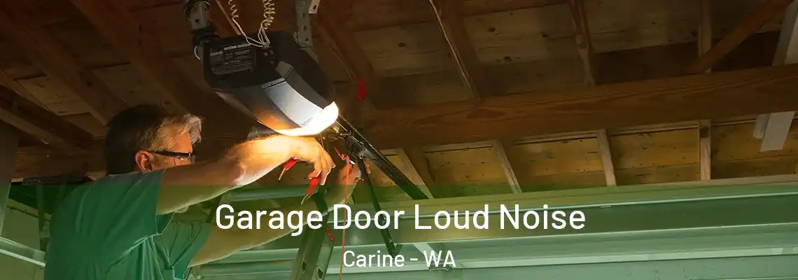 Garage Door Loud Noise Carine - WA