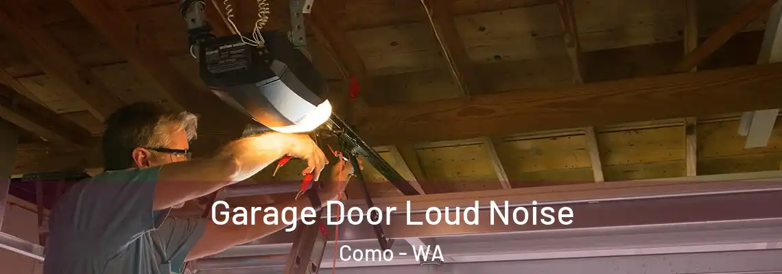 Garage Door Loud Noise Como - WA