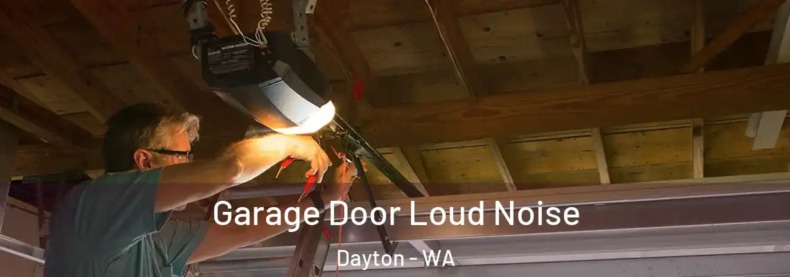 Garage Door Loud Noise Dayton - WA