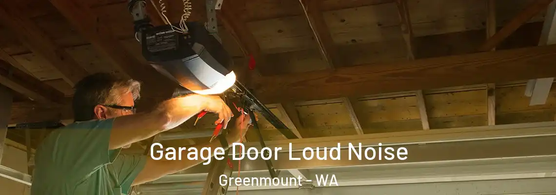 Garage Door Loud Noise Greenmount - WA