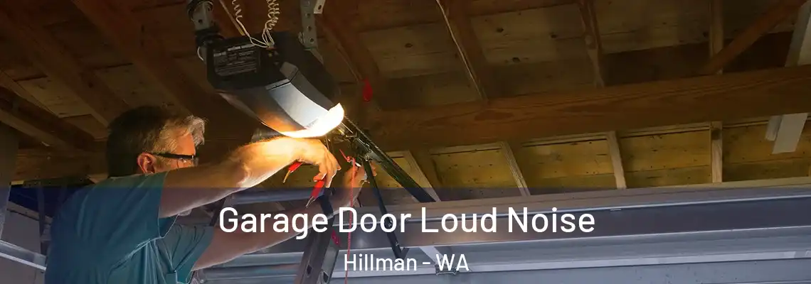 Garage Door Loud Noise Hillman - WA