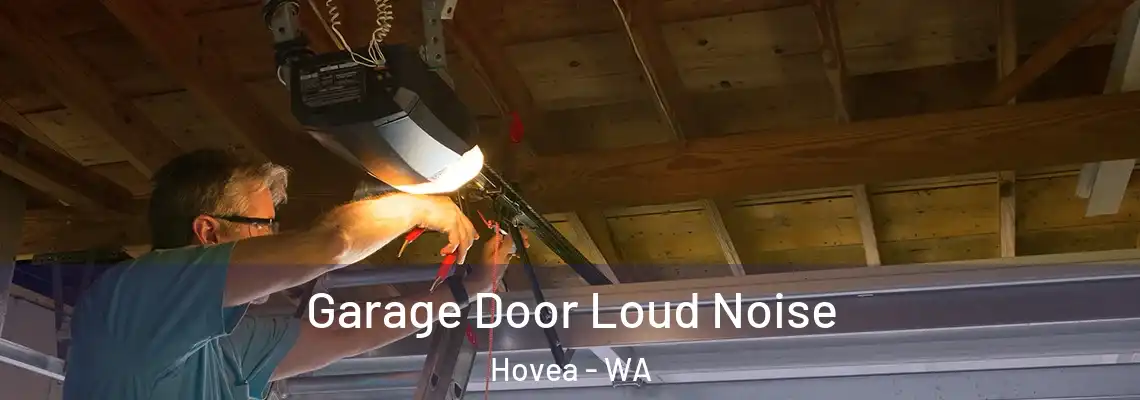 Garage Door Loud Noise Hovea - WA